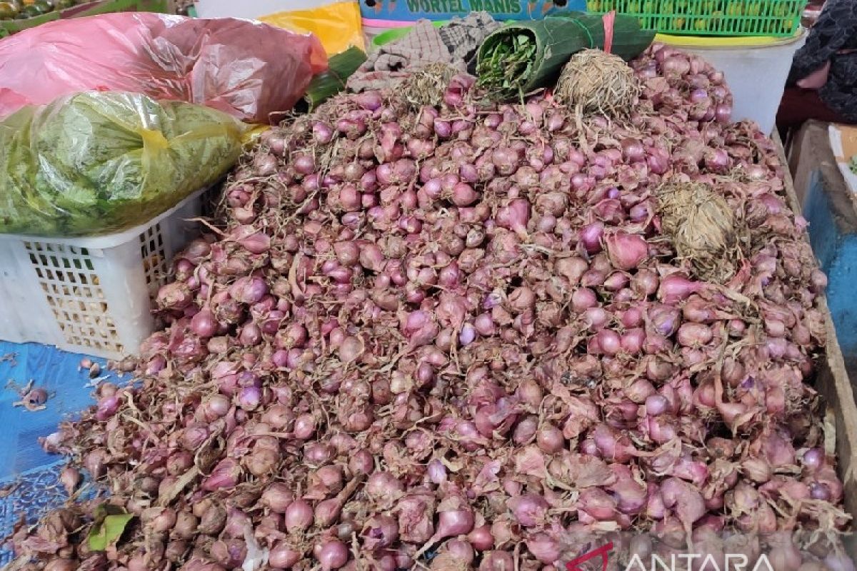 Harga bawang merah di Jayapura naik jadi Rp 80.000 per kilogram