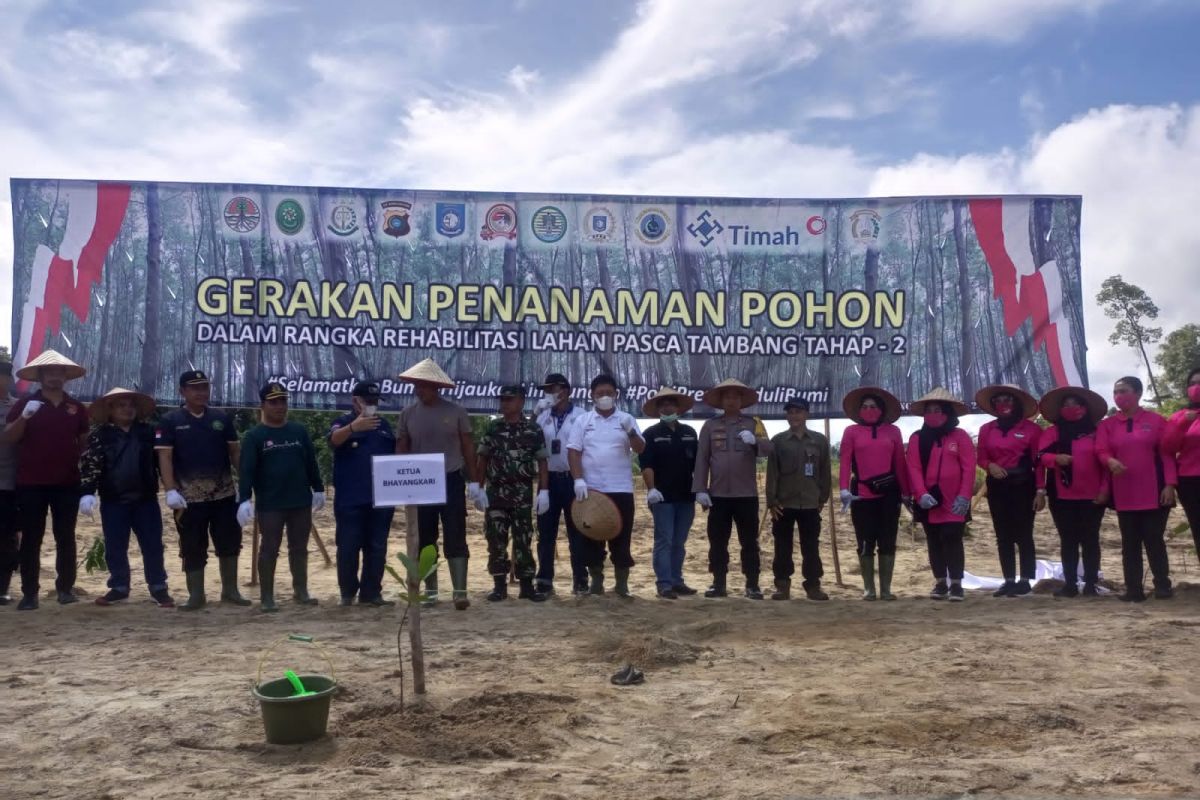 PT Timah-Forkopimda dan pecinta lingkungan rehabilitasi lahan pasca tambang di hutan Tahura Bukit Menumbing