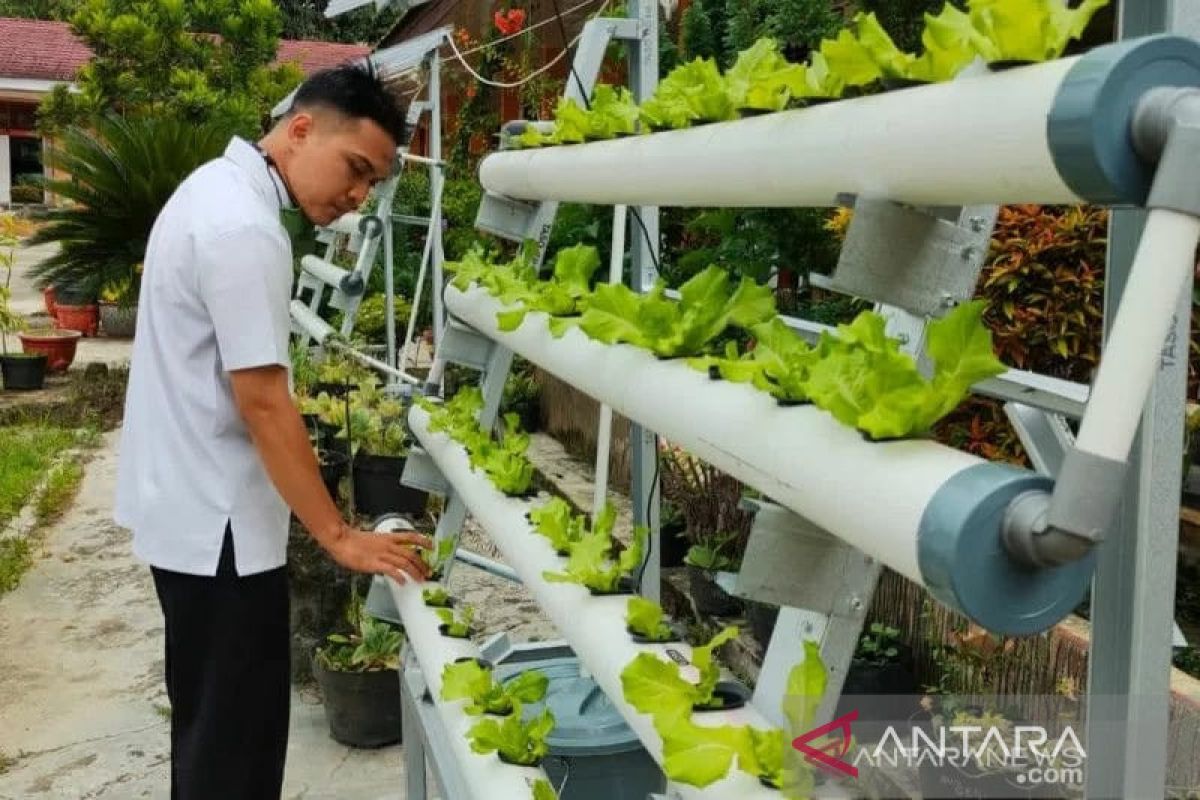 Dinas Pangan Kota Solok wujudkan pekarangan pangan lestari
