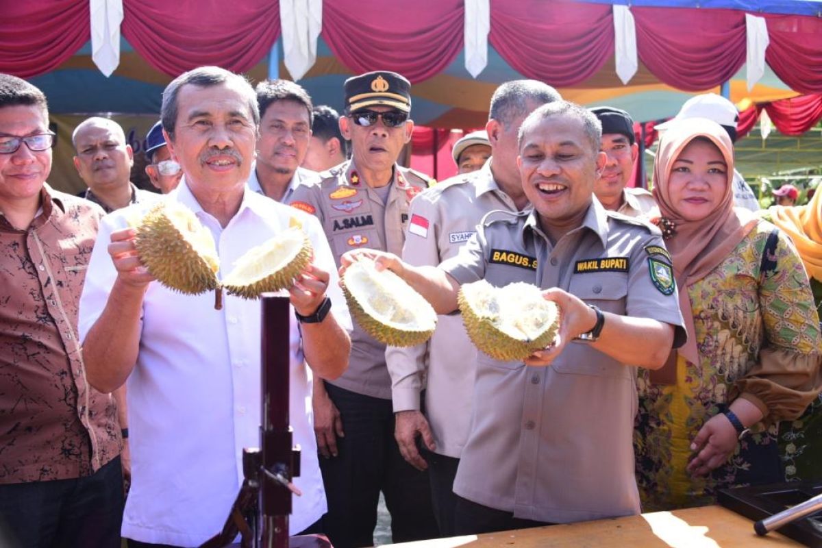 Gebyar makan durian hendaknya dapat menarik wisatawan ke Bengkalis