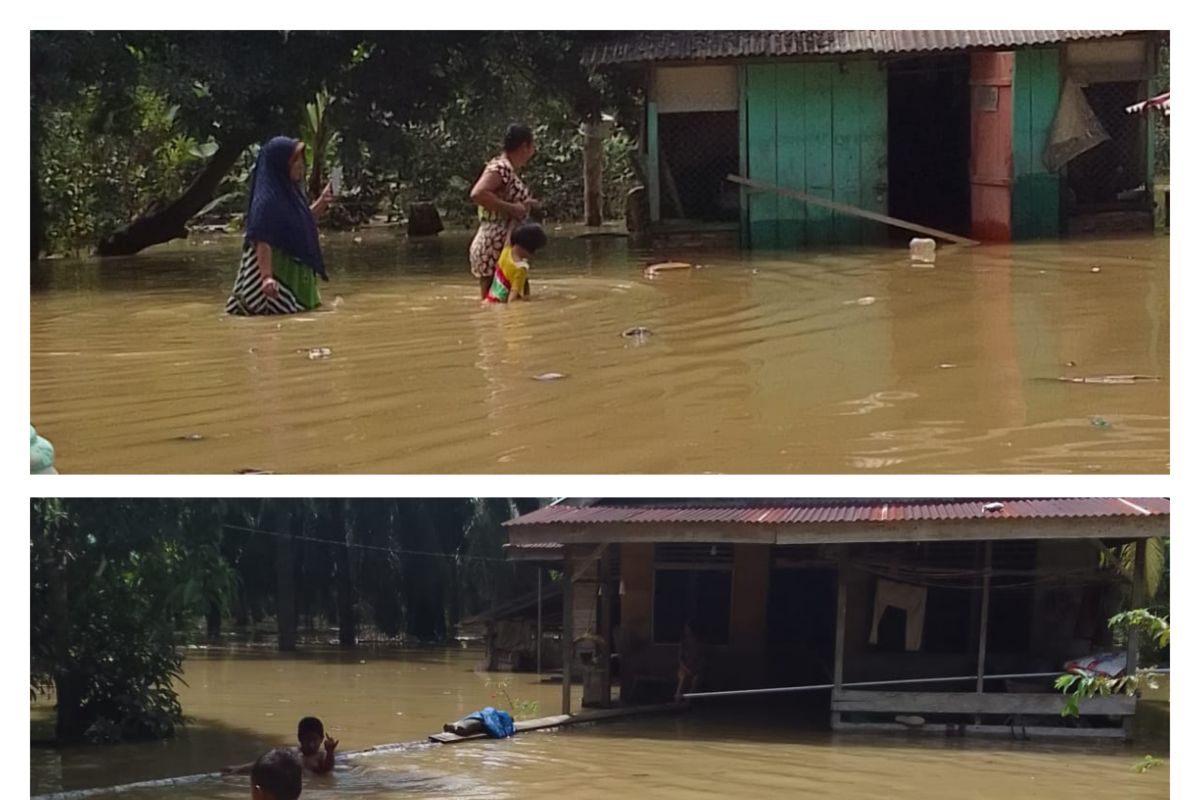 BPBD Langkat : Banjir merendam 20 rumah warga di Sei Lepan