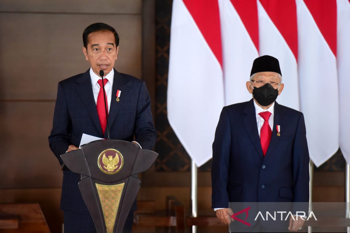 Presiden Jokowi bahas kerjasama investasi dengan UEA usai ke Ukraina-Rusia