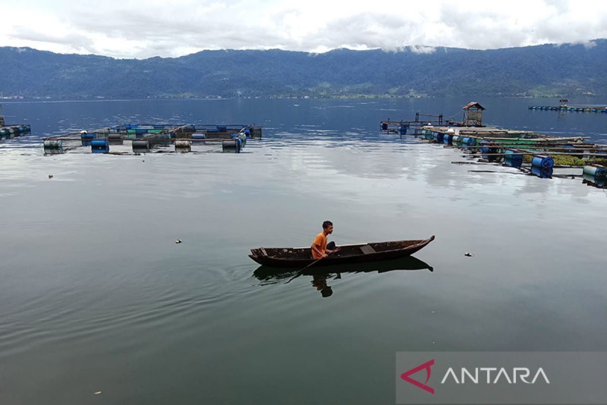 Menjaga selusur Maninjau, ikan danau yang dilindungi di Agam