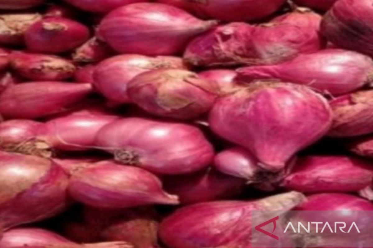 Konsumen di Sumut beralih ke bawang merah impor karena produk lokal mahal