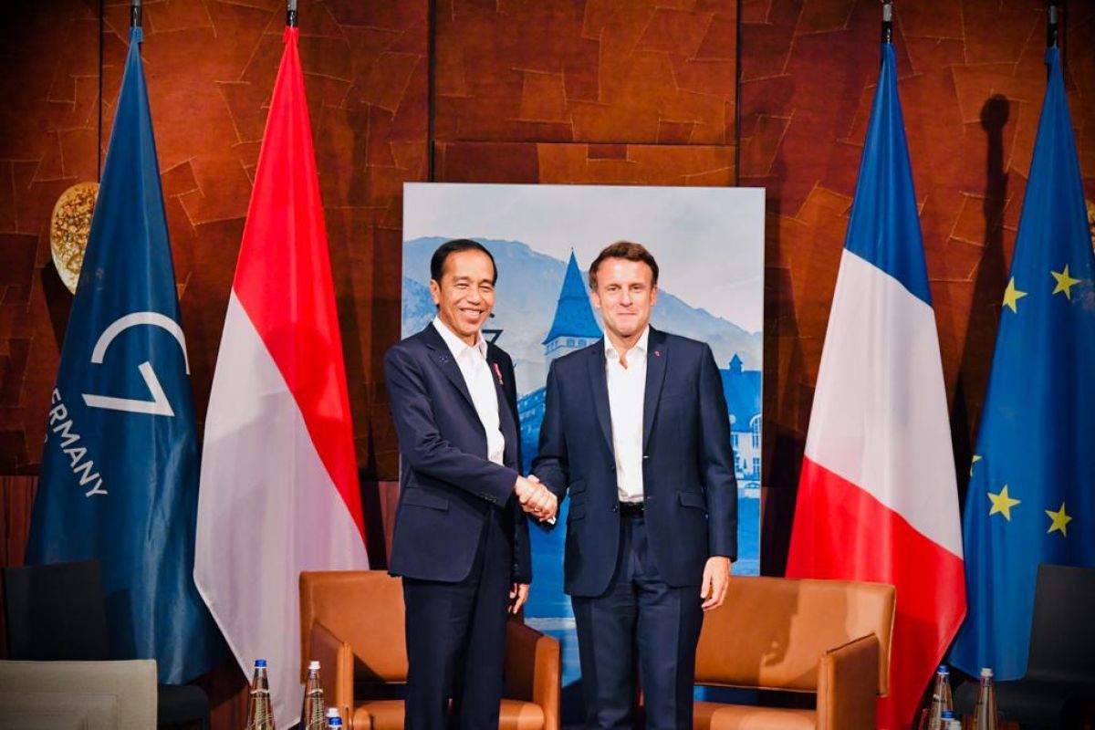 Presiden Jokowi dan Presiden Perancis bahas penyelesaian damai di Ukraina