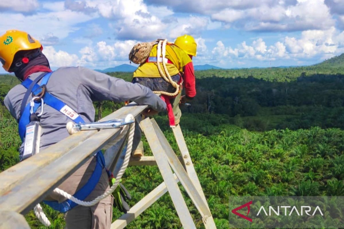 PT PLN siapkan energi untuk industri pertambangan biji besi di Kalsel