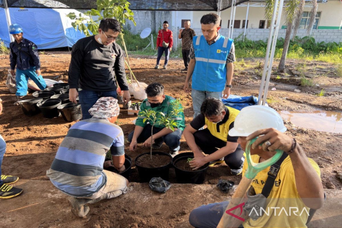 Uji coba abu batu bara hasil PLTU Pulpis sebagai media tanam