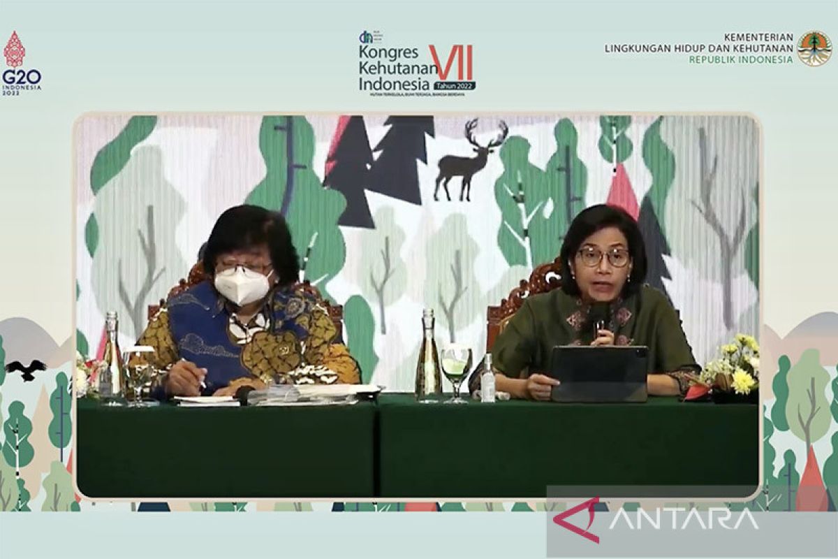 Sri Mulyani: Kontribusi kehutanan terhadap ekonomi hanya 0,66 persen