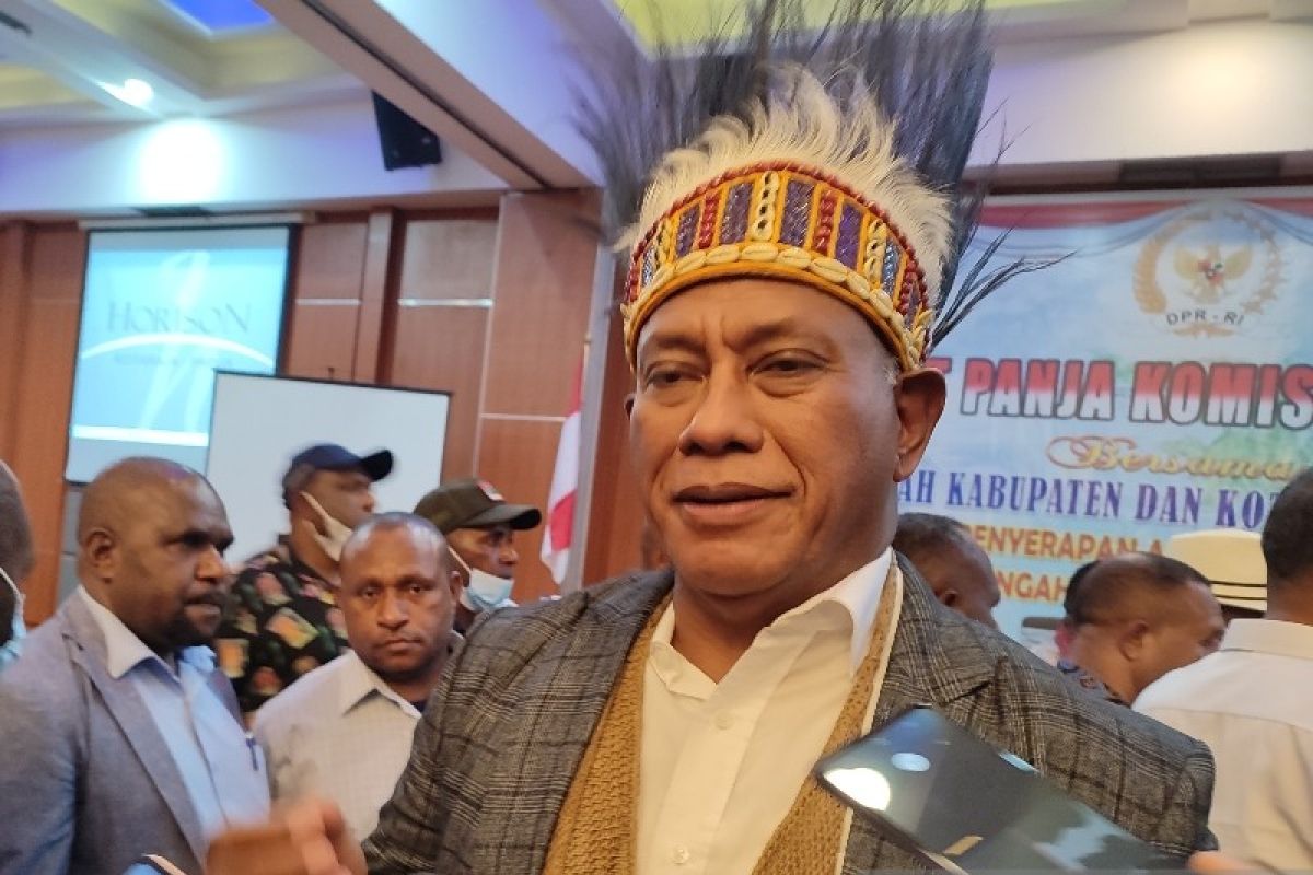 DPR RI: Delapan bupati sepakati ibu kota Provinsi Papua Tengah