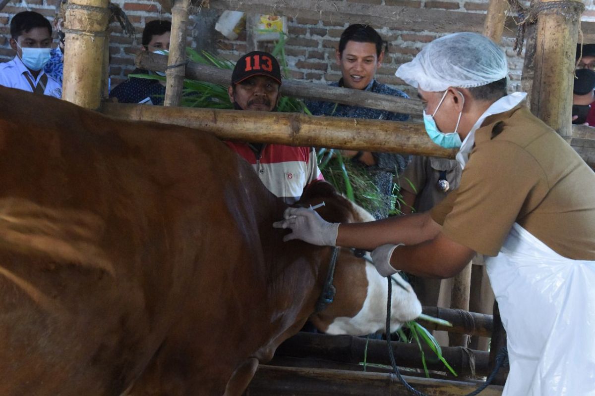 Wali Kota Kediri minta warganya tak takut konsumsi daging kurban