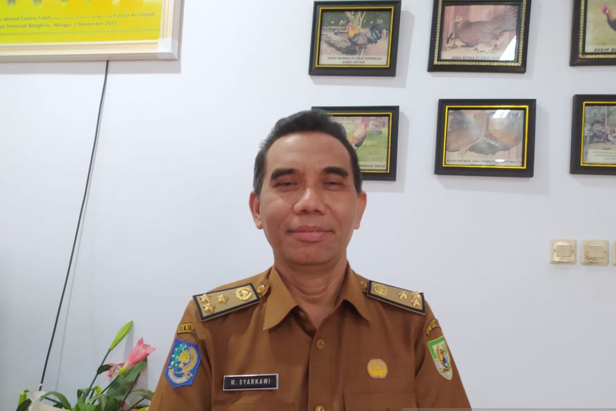 Dinas Peternakan sebut ketersediaan hewan kurban di Bengkulu aman