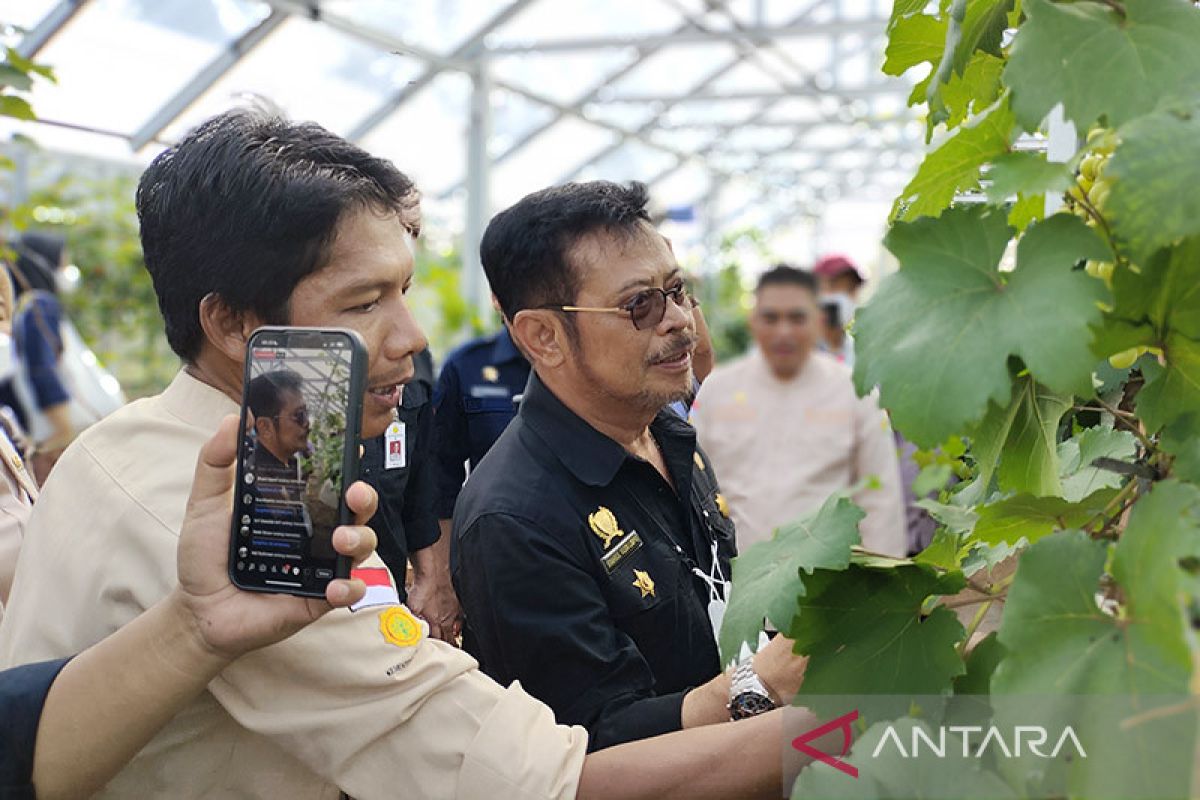 Mentan dorong petani beradaptasi dengan tantangan alam