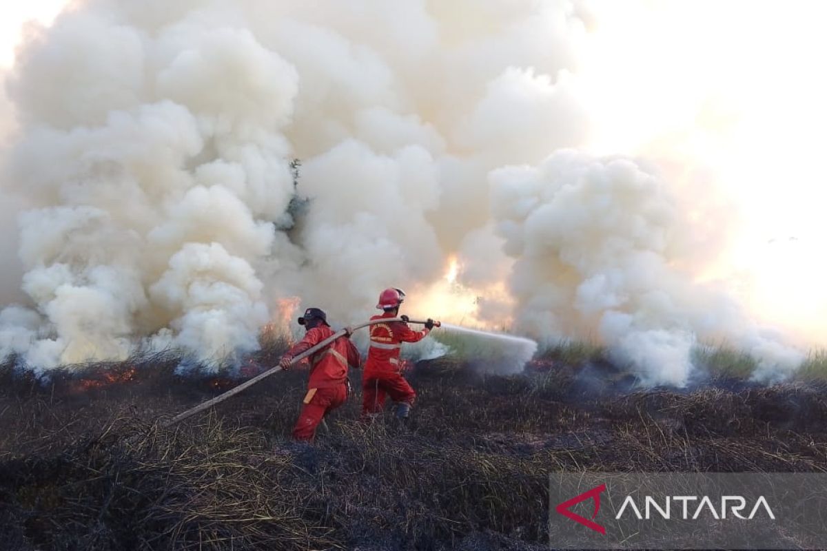 Sedikitnya 9 Ha lahan di Desa Arisan Jaya Ogan Ilir mengalami kebakaran