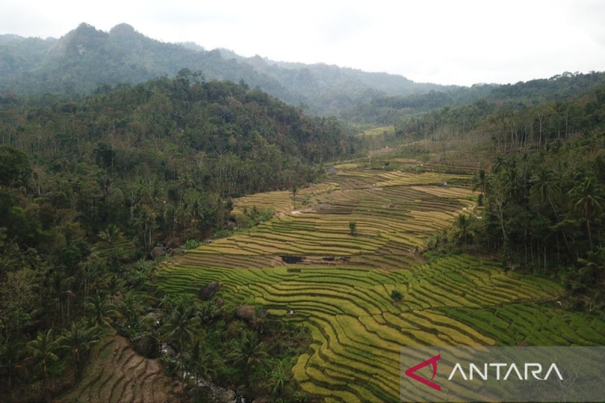 FSC meluncurkan standar sertifikasi SPH Petani-Hutan