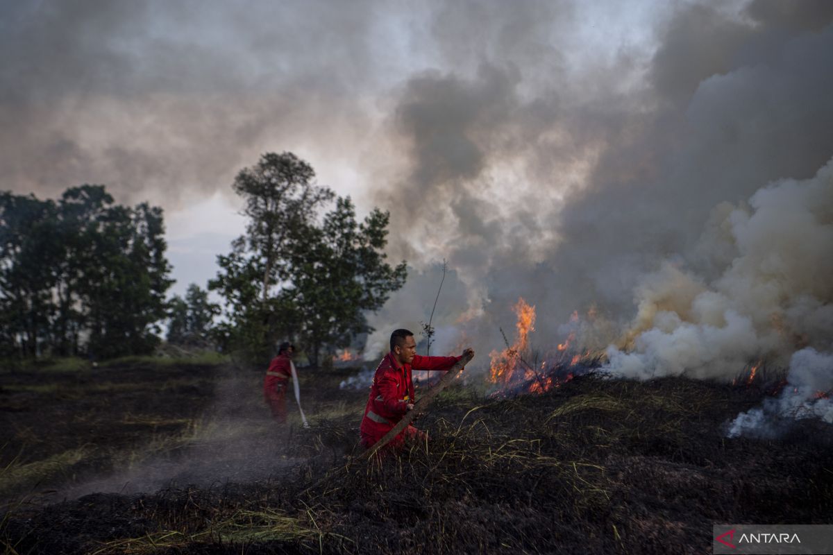 Upaya Pemadaman Kebakaran Lahan di Ogan Ilir