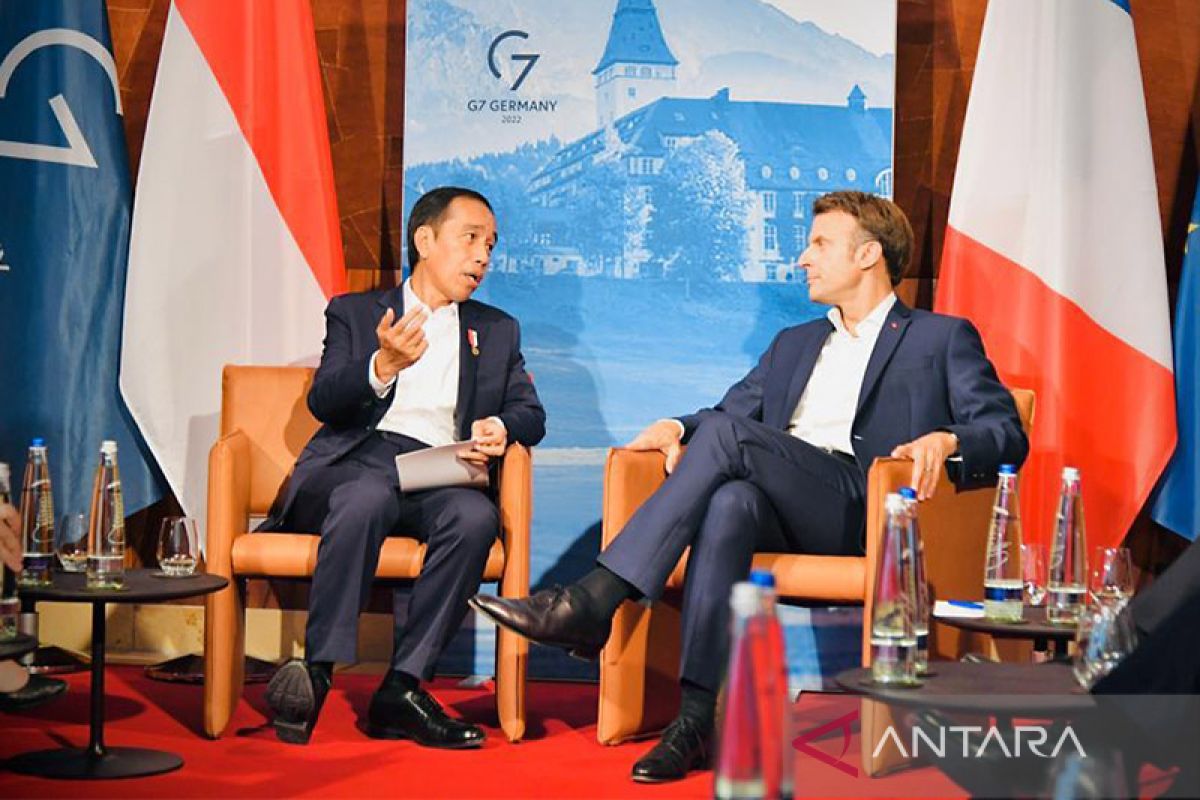 Jokowi bahas penyelesaian damai Ukraina dengan Presiden Perancis