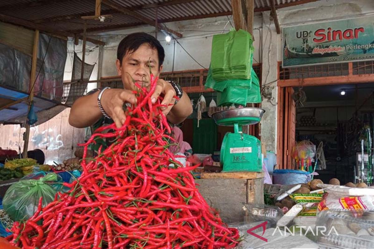 Harga cabai merah di Lhokseumawe capai Rp110 ribu per kilogram