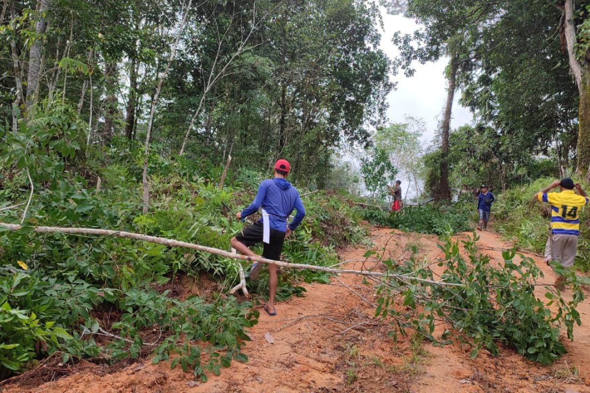 Persiapan jaringan PLN di Desa Entabuk