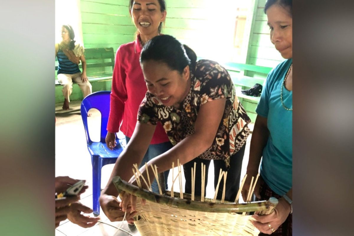 Tujuh KUPS desa Kaltara ikuti pelatihan peningkatan inovasi produk rotan