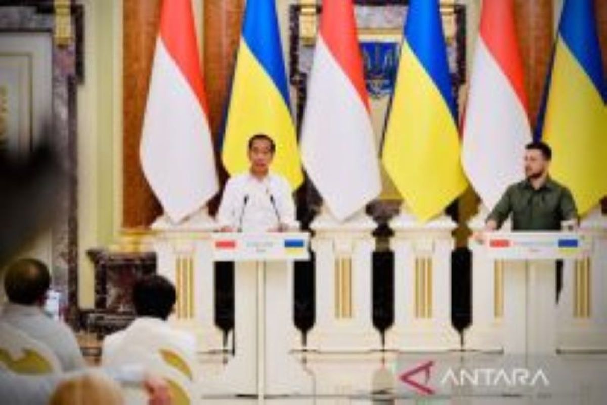 Jokowi tawarkan bawa pesan dari Zelenskyy ke Putin