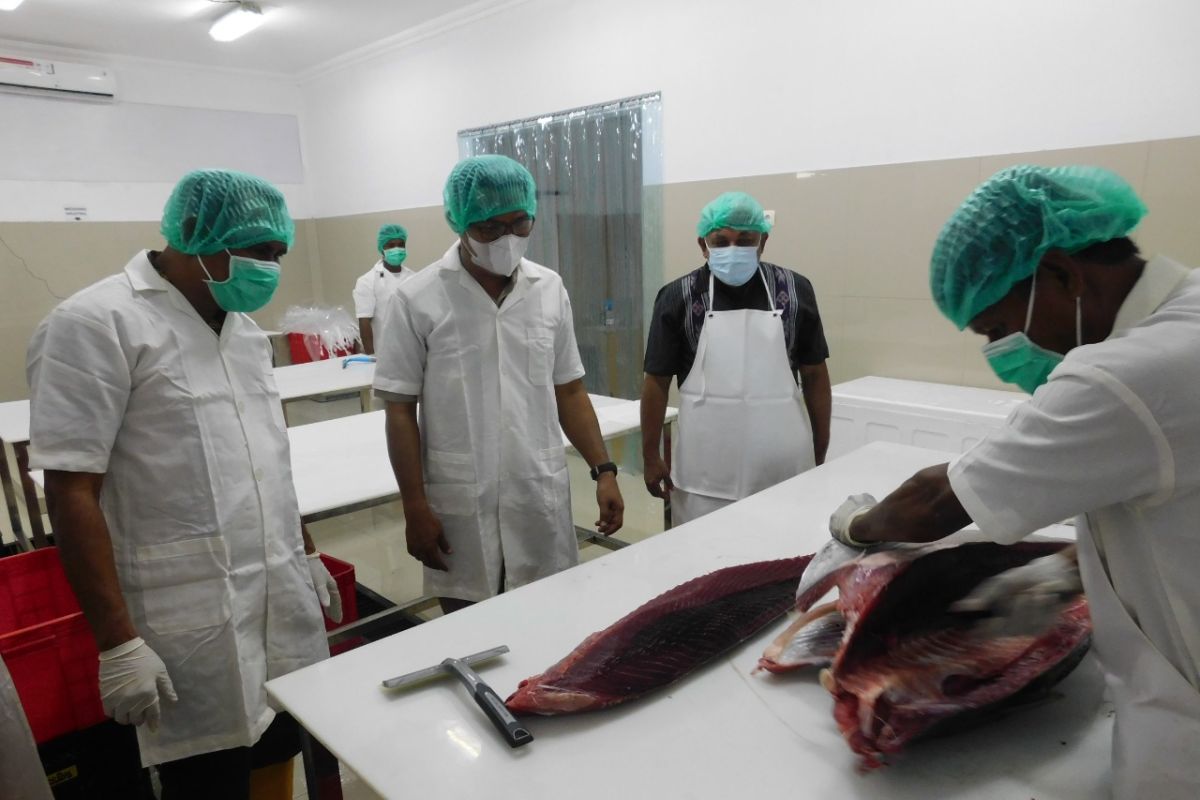 Layanan 24 jam "Health Certificate" KKP percepat ekspor tuna Maluku ke Malaysia