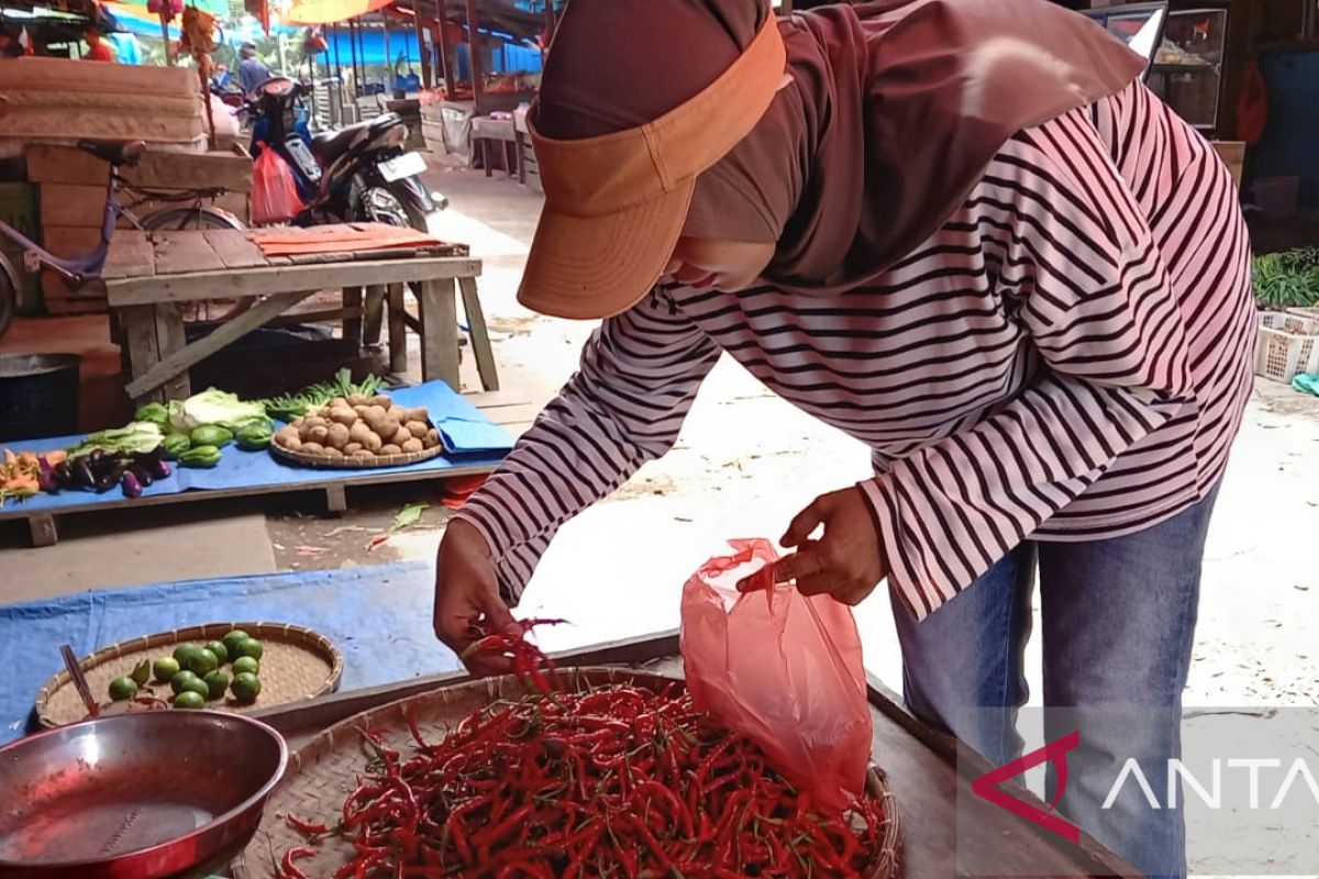 Harga cabe merah di Inhil tembus Rp 150.000 per kilogram