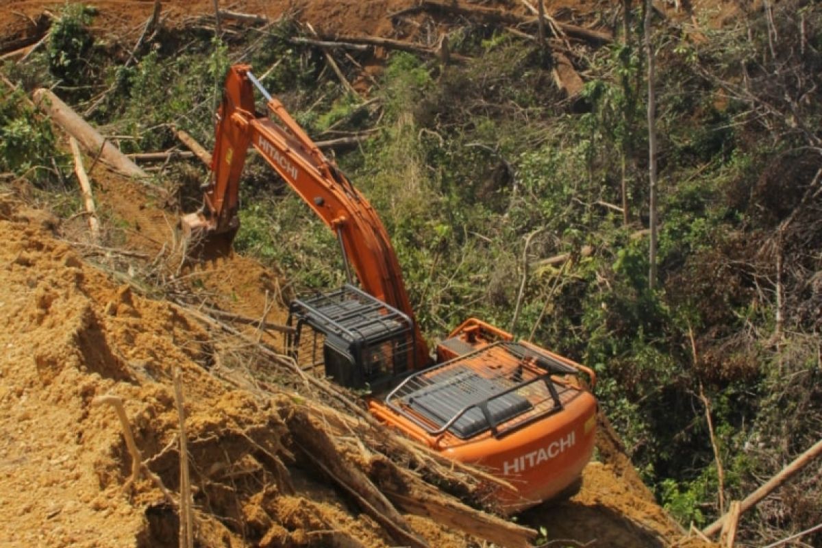 Gubernur Riau minta DLHK usut otak perambahan hutan TNBT Inhu