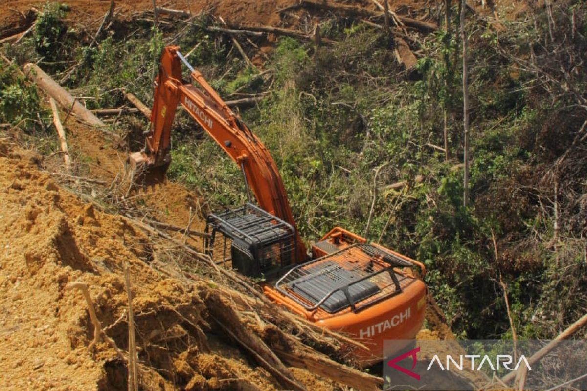 Begini penyelidikan dugaan perambahan hutan oleh anggota DPRD Mukomuko