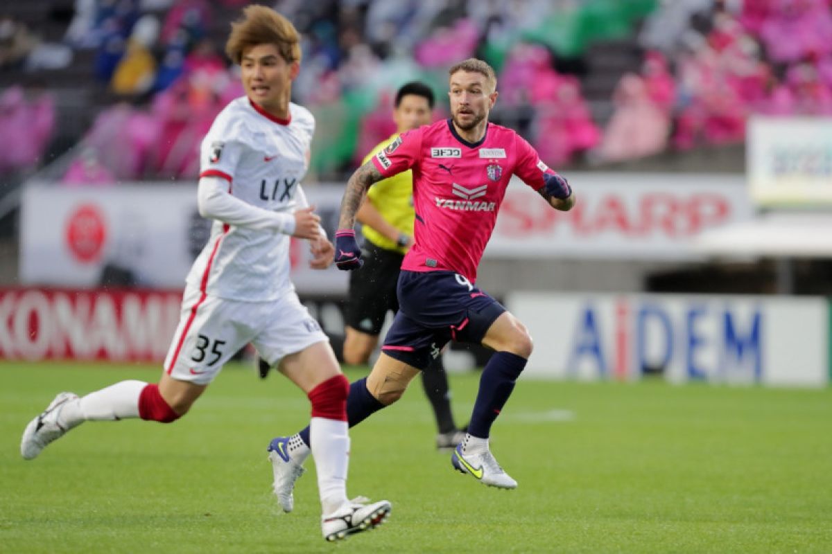 Liga Jepang dinilai berkontribusi lolosnya Australia ke Piala Dunia 2022 di Qatar