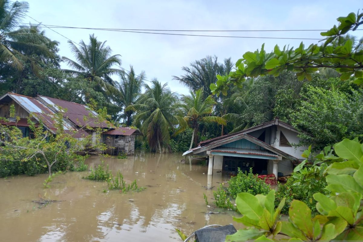 886 rumah warga Kota Bengkulu terendam banjir