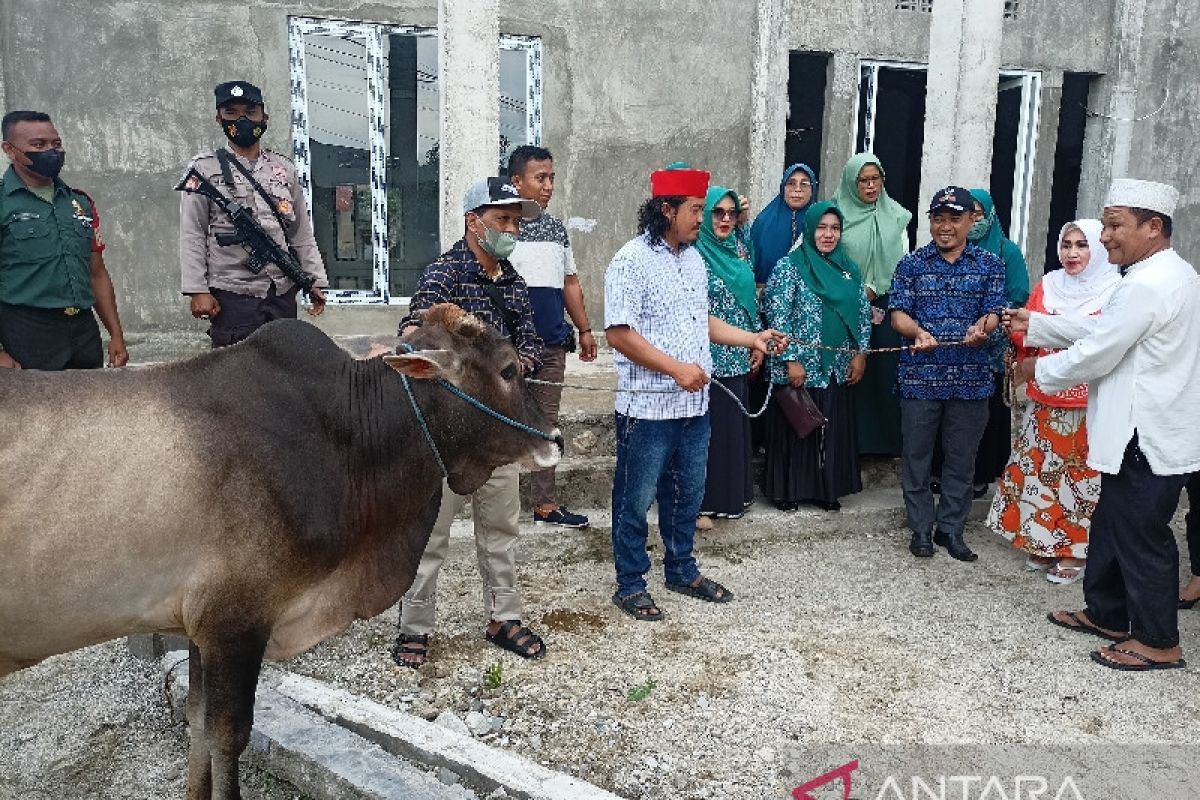 Ketua PKK Sulteng  serahkan bantuan sapi kurban gubernur di Parigi