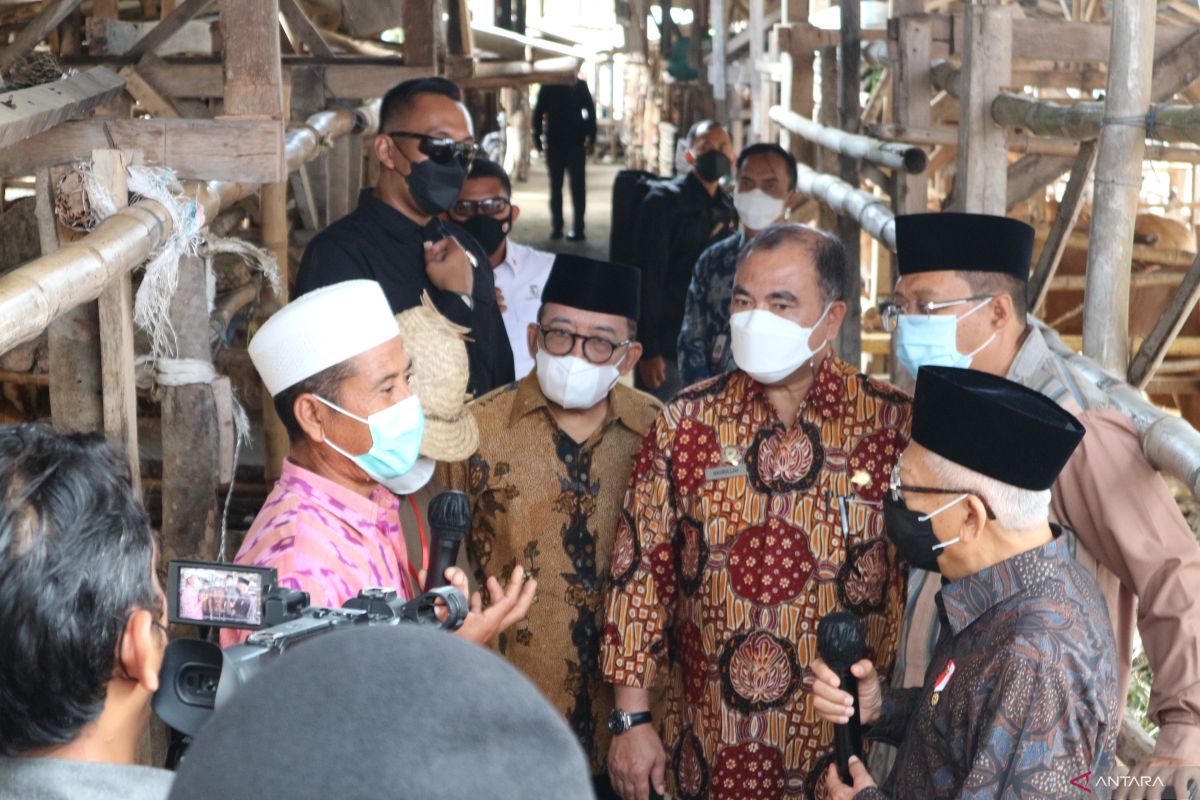 West Lombok: Amin listens to farmers' accounts of FMD outbreak