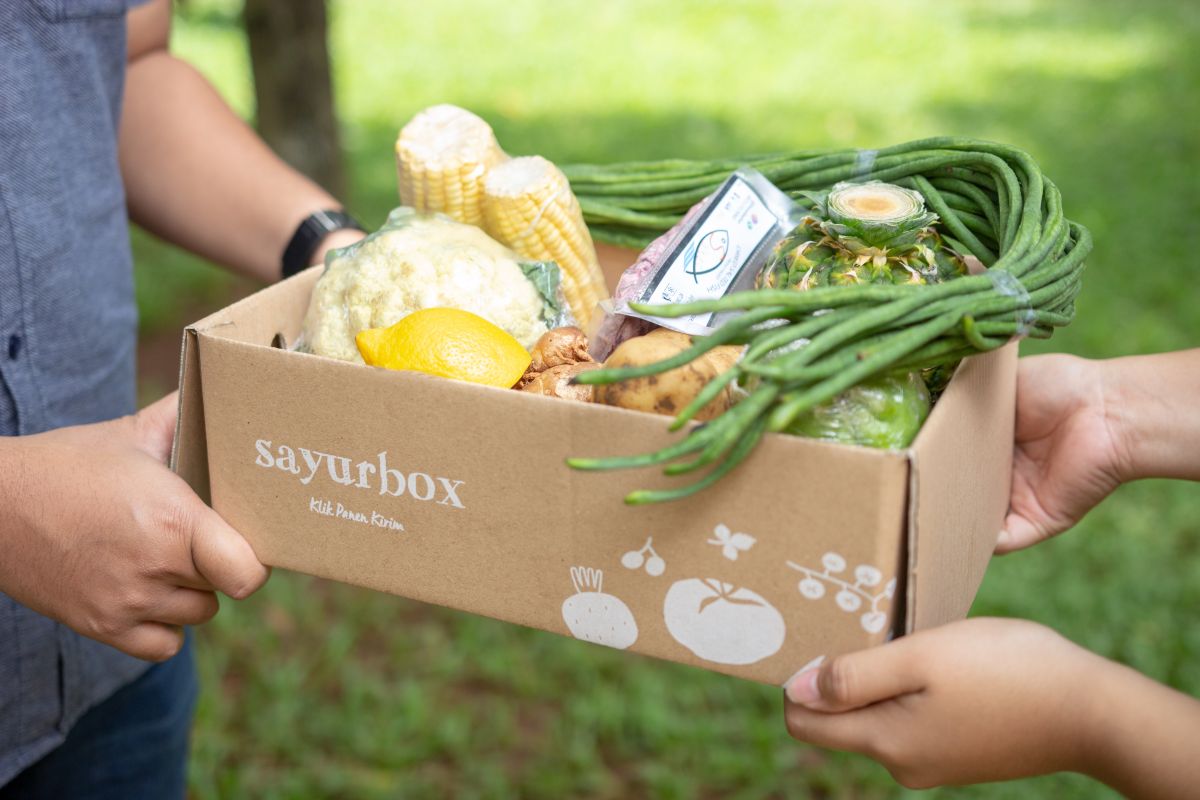 Sayurbox perluas pasar melalui layanan premium "Sayurbox Deluxe"