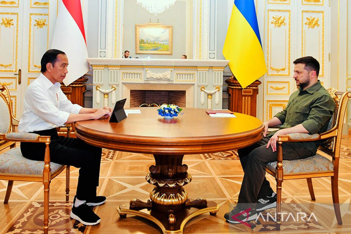 Pakar apresiasi Presiden Jokowi di misi perdamaian Rusia-Ukraina
