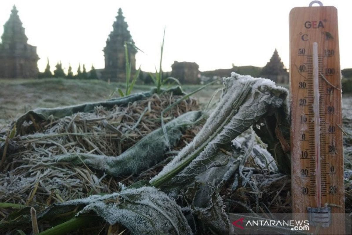 BMKG: Fenomena embun upas di Dieng akan berlangsung selama satu dasarian