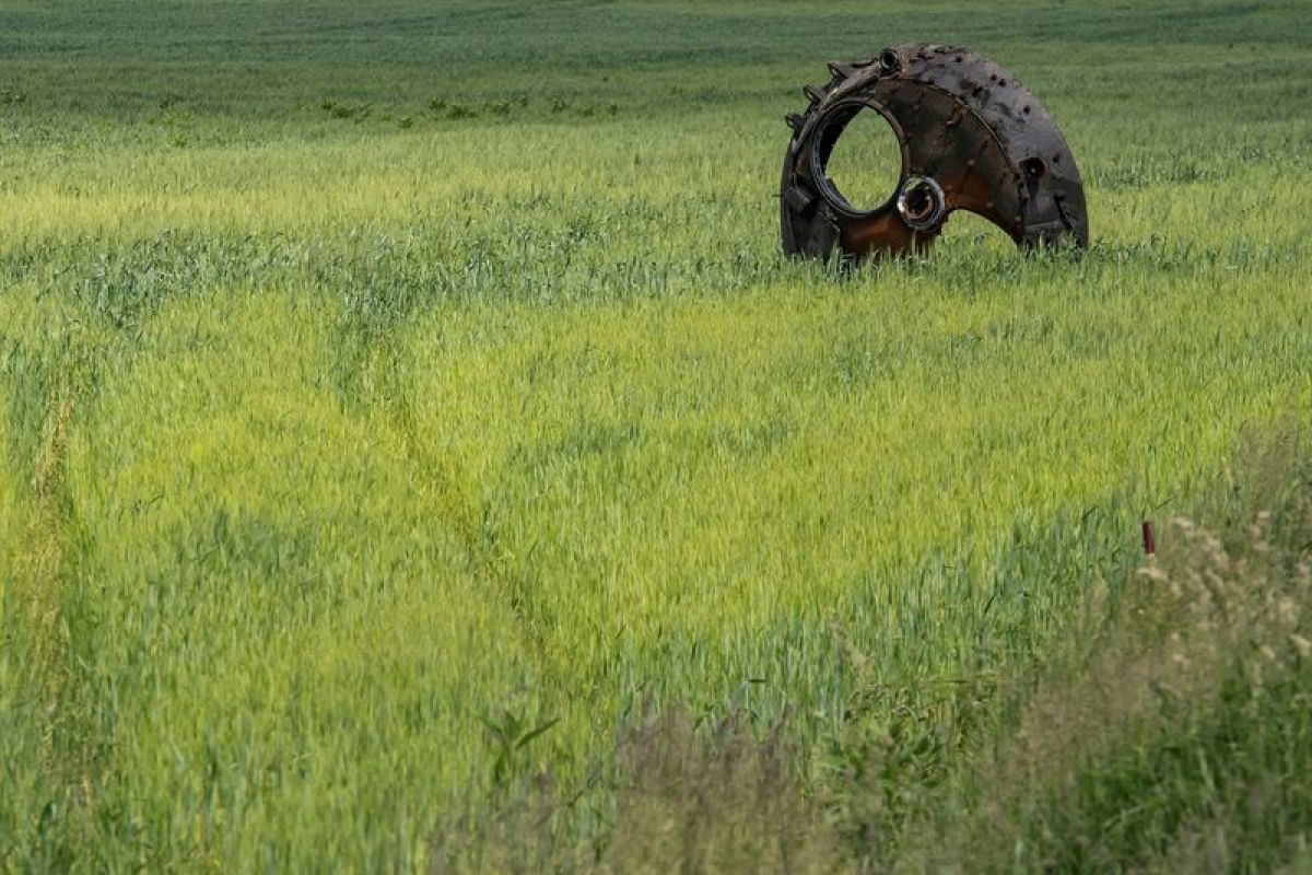 FAO: Jutaan orang berisiko kekurangan gizi akibat perang Ukrania