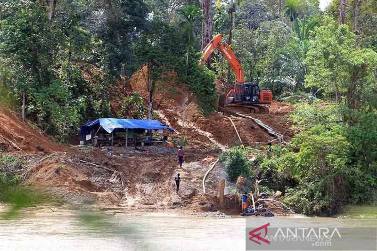 Walhi Aceh apresiasi penindakan hukum tambang emas ilegal