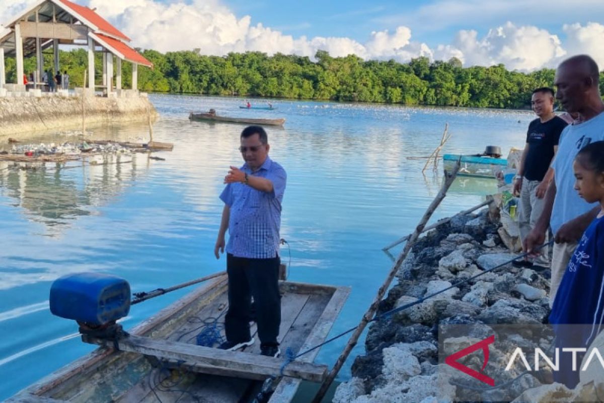 DKP Kepri dorong nelayan mengembangkan rumput laut