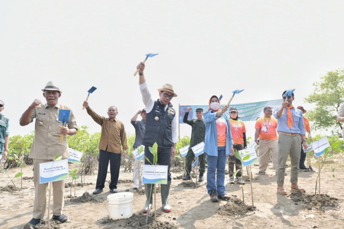 Gubernur Jawa Barat ajak warga ikut gerakan menanam mangrove