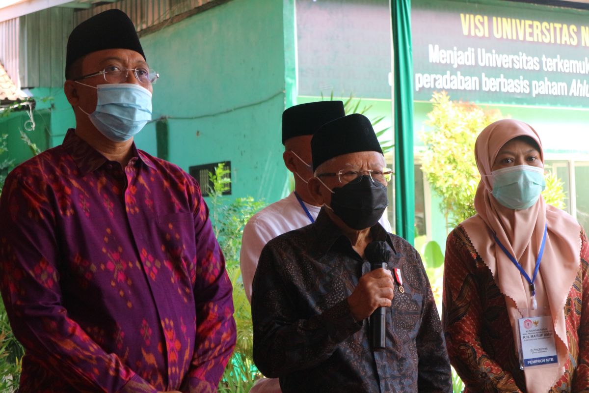 Wear masks again amid increase in COVID-19 cases: VP Amin