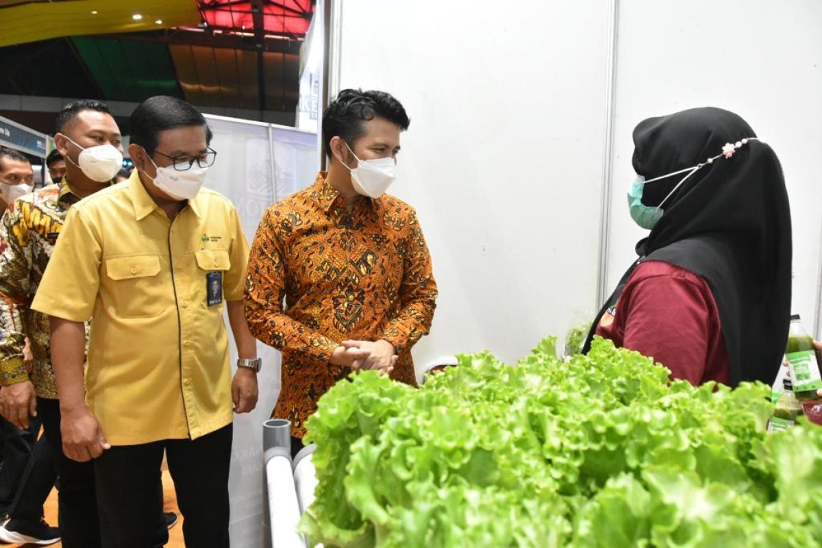 Petrokimia Gresik gandeng 50 UMKM binaan di Mangga Hybrid Expo 2022