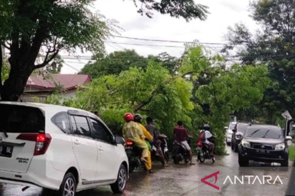 BMKG: Hujan disertai angin berpotensi landa NTT tiga hari ke depan