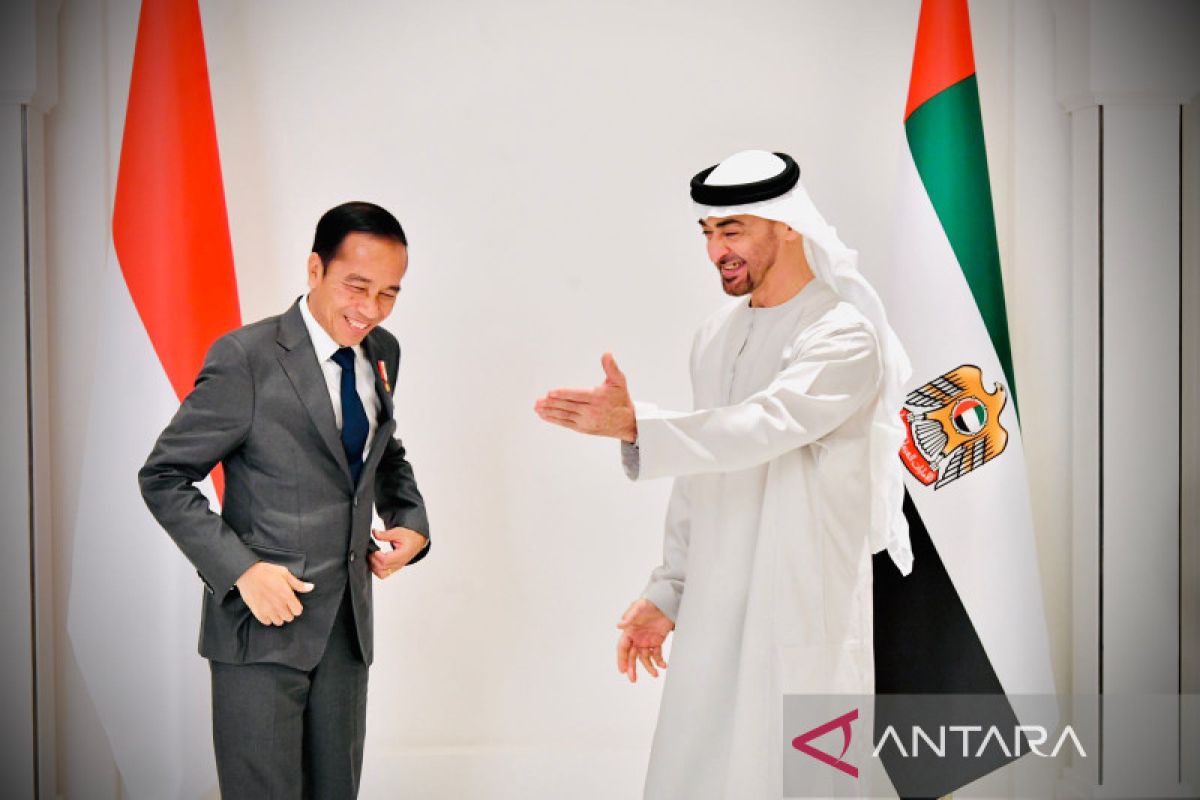 Jokowi meets UAE President at Al Shatie Palace