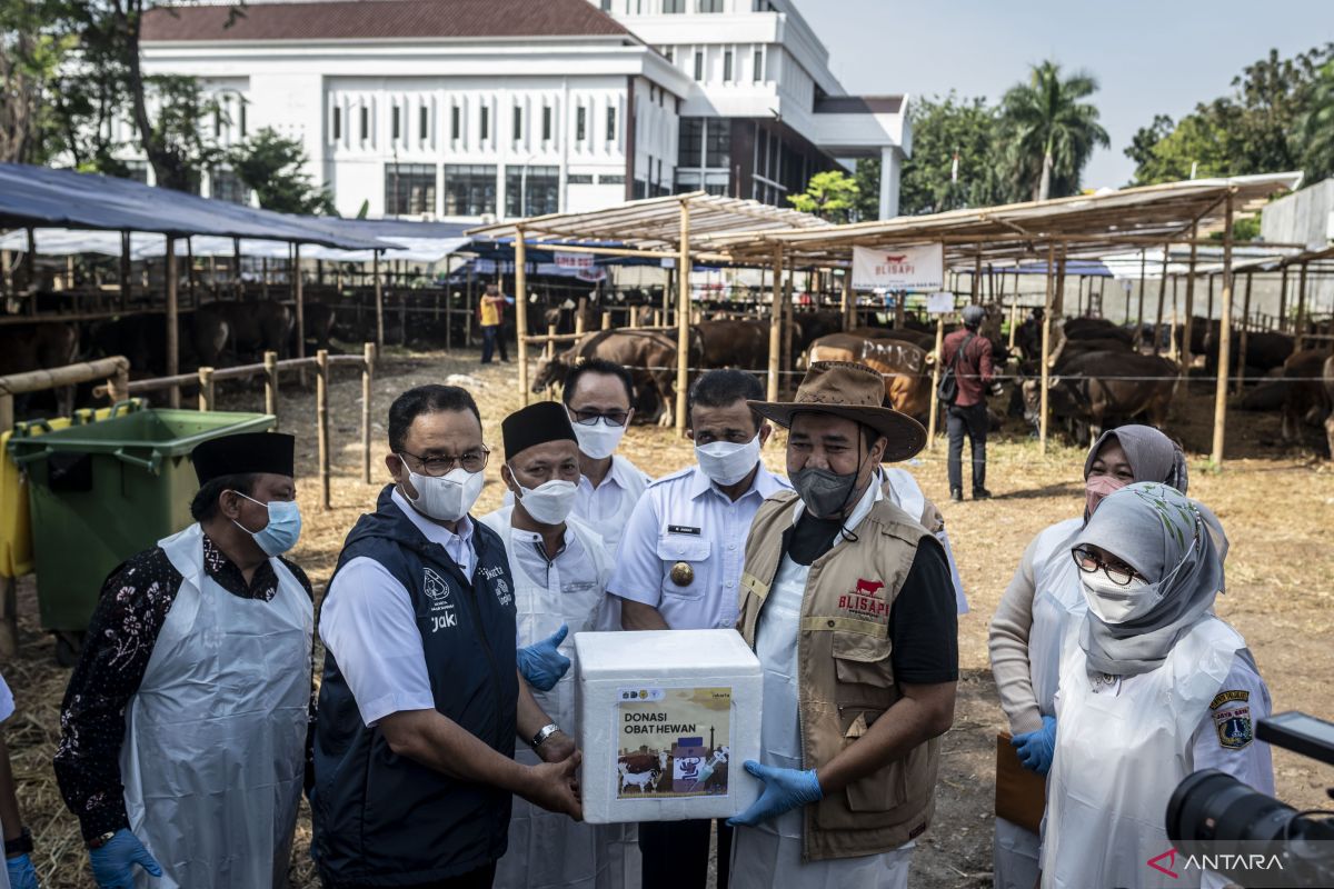 Sudin KPKP Jakarta Barat periksa 5.322 ternak jelang Idul Adha
