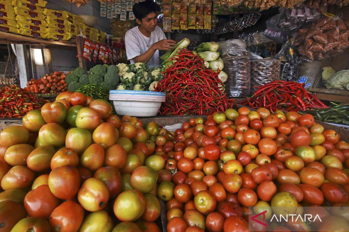 Govt must prepare strategies to contain rising inflation: observer