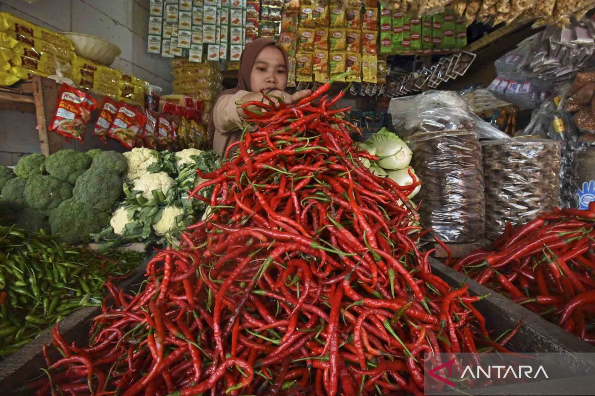 Cabai merah picu inflasi Riau pada Juni 2022