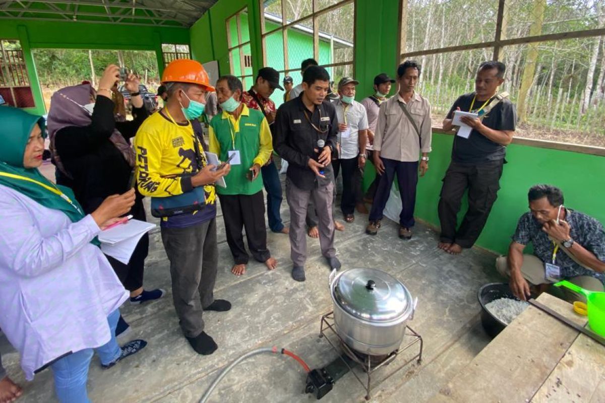 Dinas Perkebunan Kaltim kawal perbanyakan biopestisida