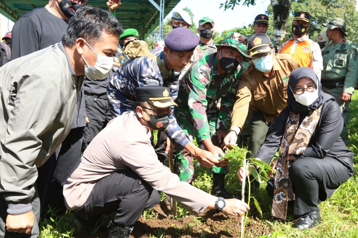 Banyuwangi tanam 7.600 pohon di jalur Gunung Ijen antisipasi longsor