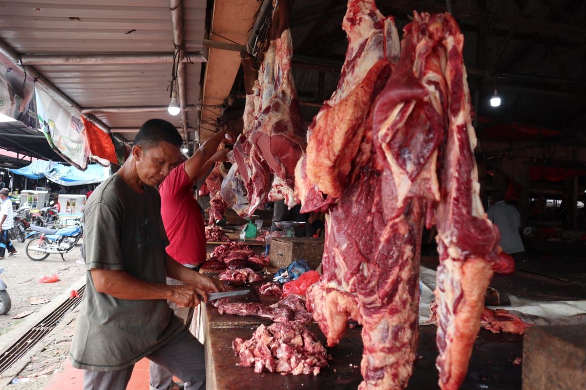 Harga daging sapi di Aceh Besar  bertahan Rp150 ribu per kilogram