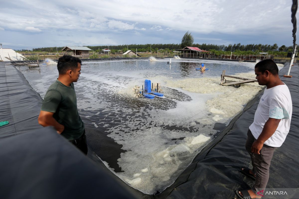 Realisasi PAD Aceh Jaya baru tercapai 56 persen